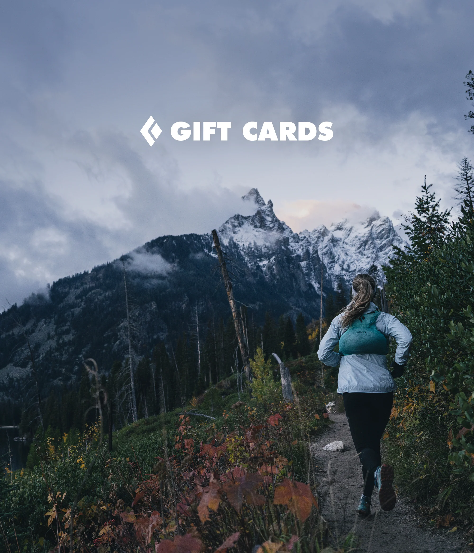 eGIFT CARDS - Image 11