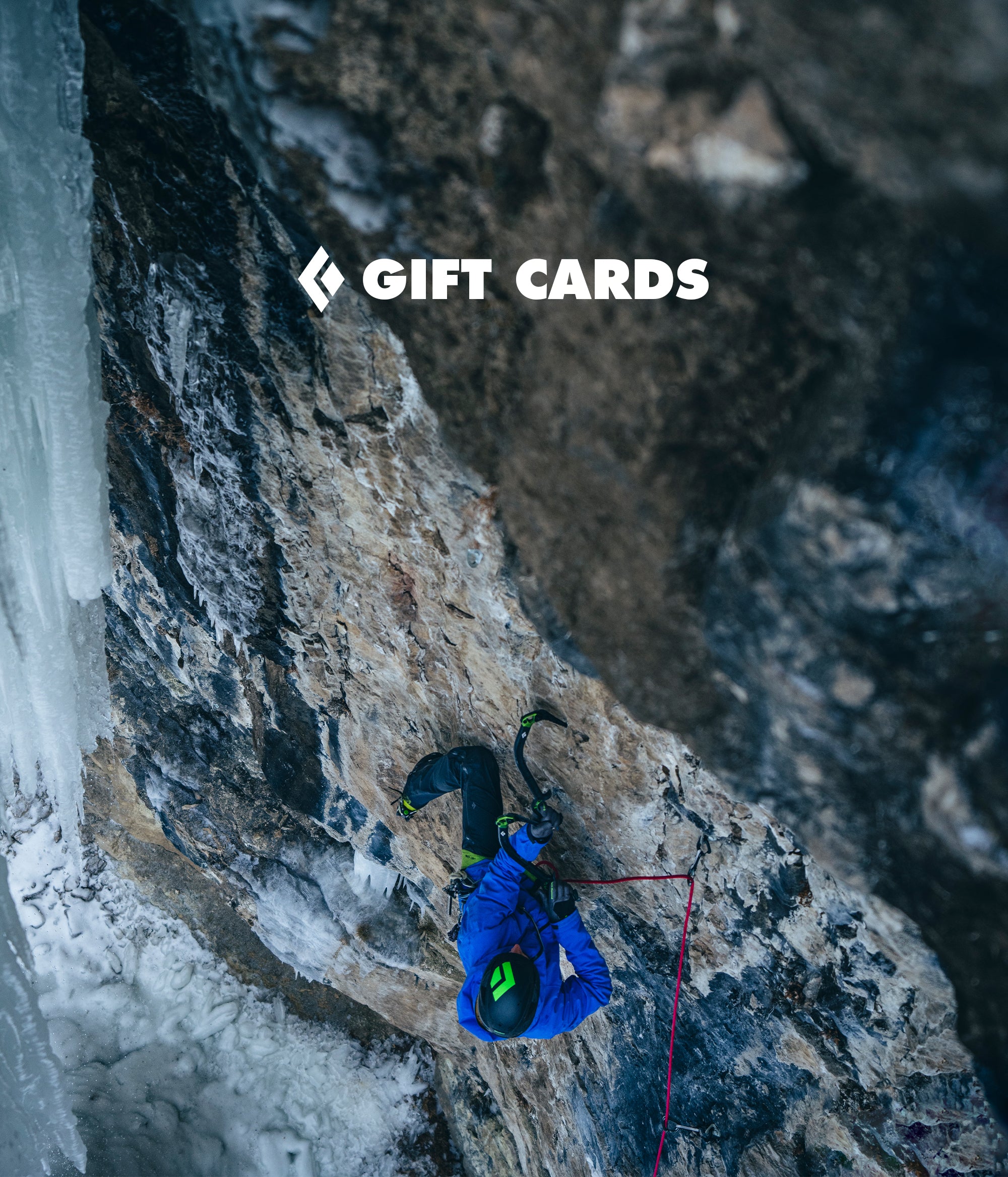 eGIFT CARDS - Image 8