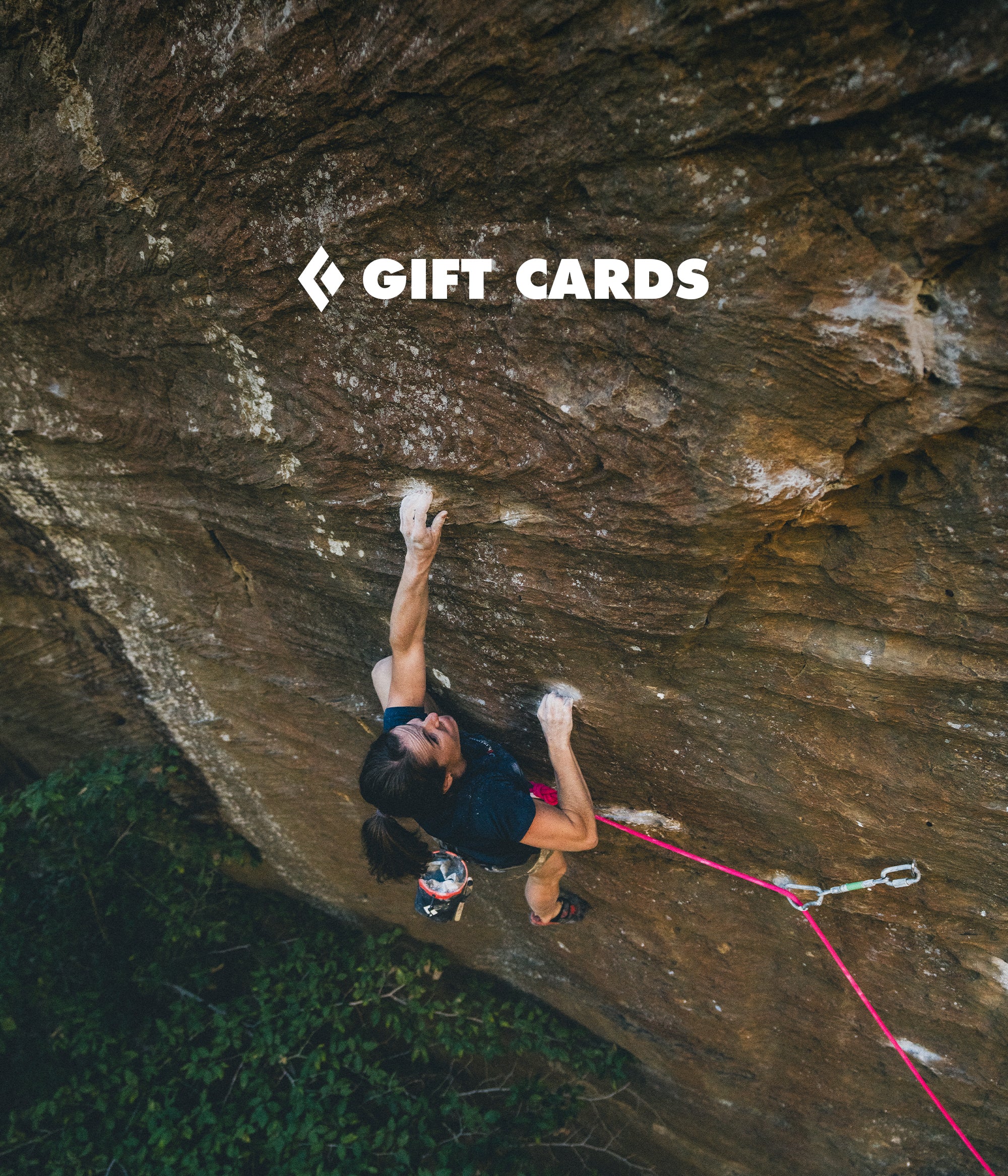 eGIFT CARDS - Image 9